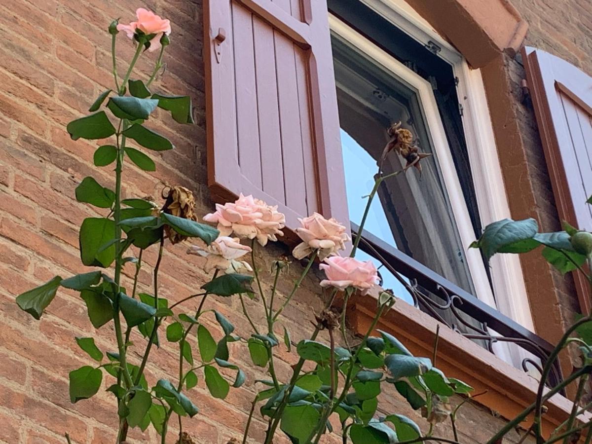 Apartmán Casina Delle Rose Boloňa Exteriér fotografie